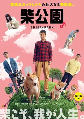 国产新疆成人a一片在线观看