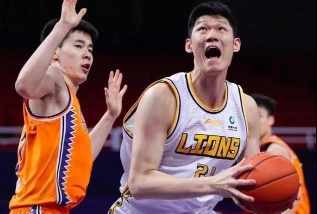 大象视频2024回家不迷路