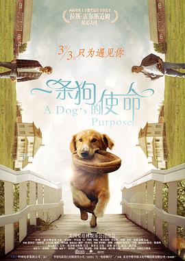 婷婷视频网