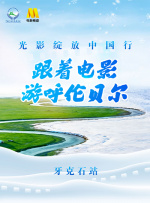 姐姐的11月