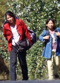 免费在线黄色网