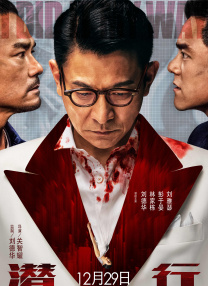 女人的儿子