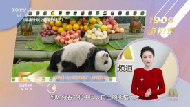 中文字幕在线看视频一区二区三区